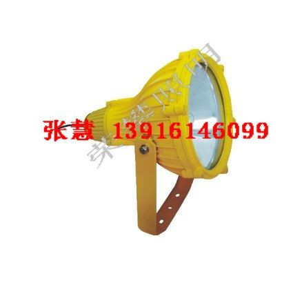 供应BTC8210 防爆投光灯